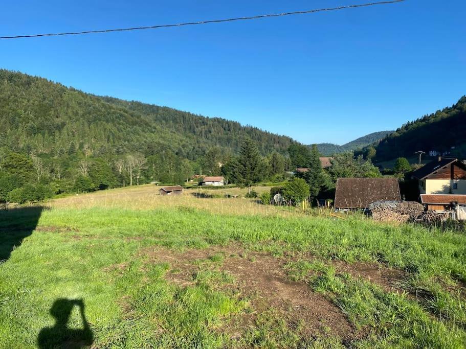 Appartement 5 Personnes Avec Espace Plein Air Saint-Maurice-sur-Moselle Kültér fotó