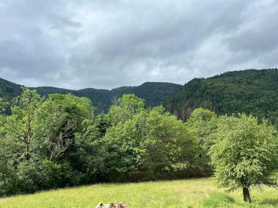 Appartement 5 Personnes Avec Espace Plein Air Saint-Maurice-sur-Moselle Kültér fotó